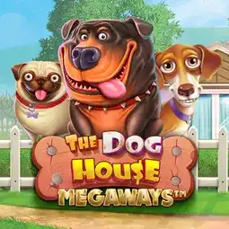 The Dog House Megaways gra w Spinit Casino dla graczy z Polski