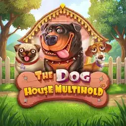 The Dog House Multihold gra w Spinit Casino dla graczy z Polski